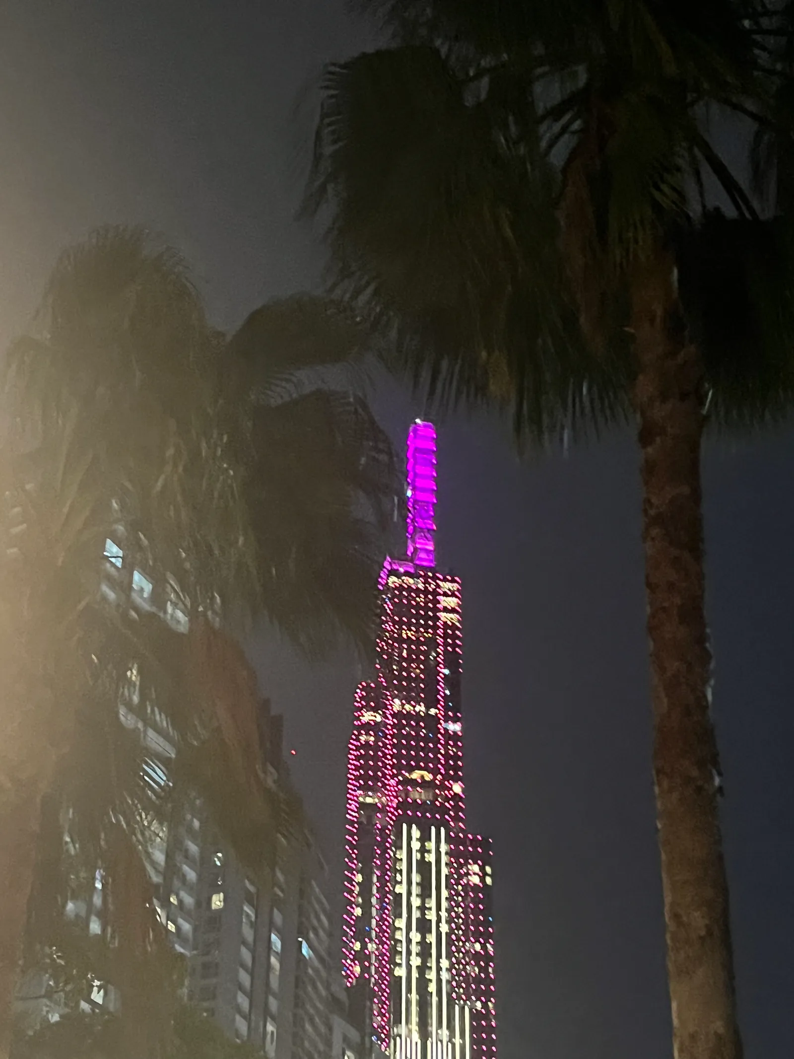 Illuminated pink tower at night behind palm trees