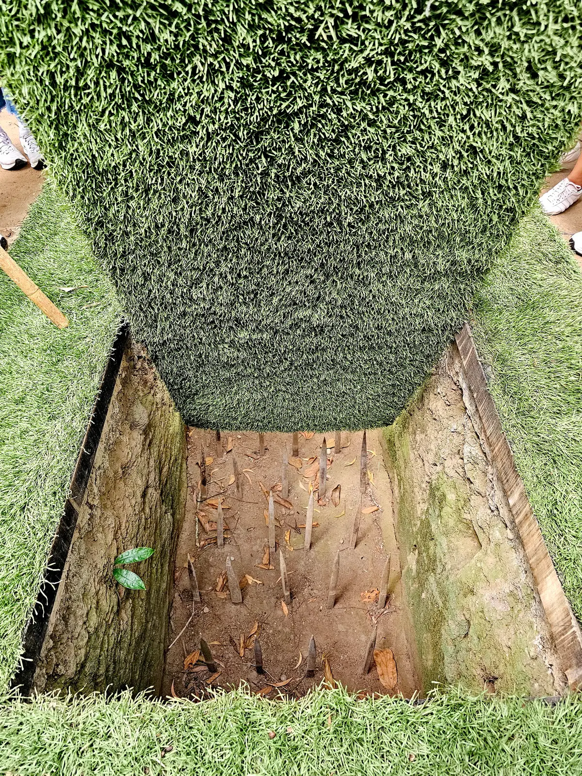 Pit lined with grass mats and sharpened bamboo stakes seen from above