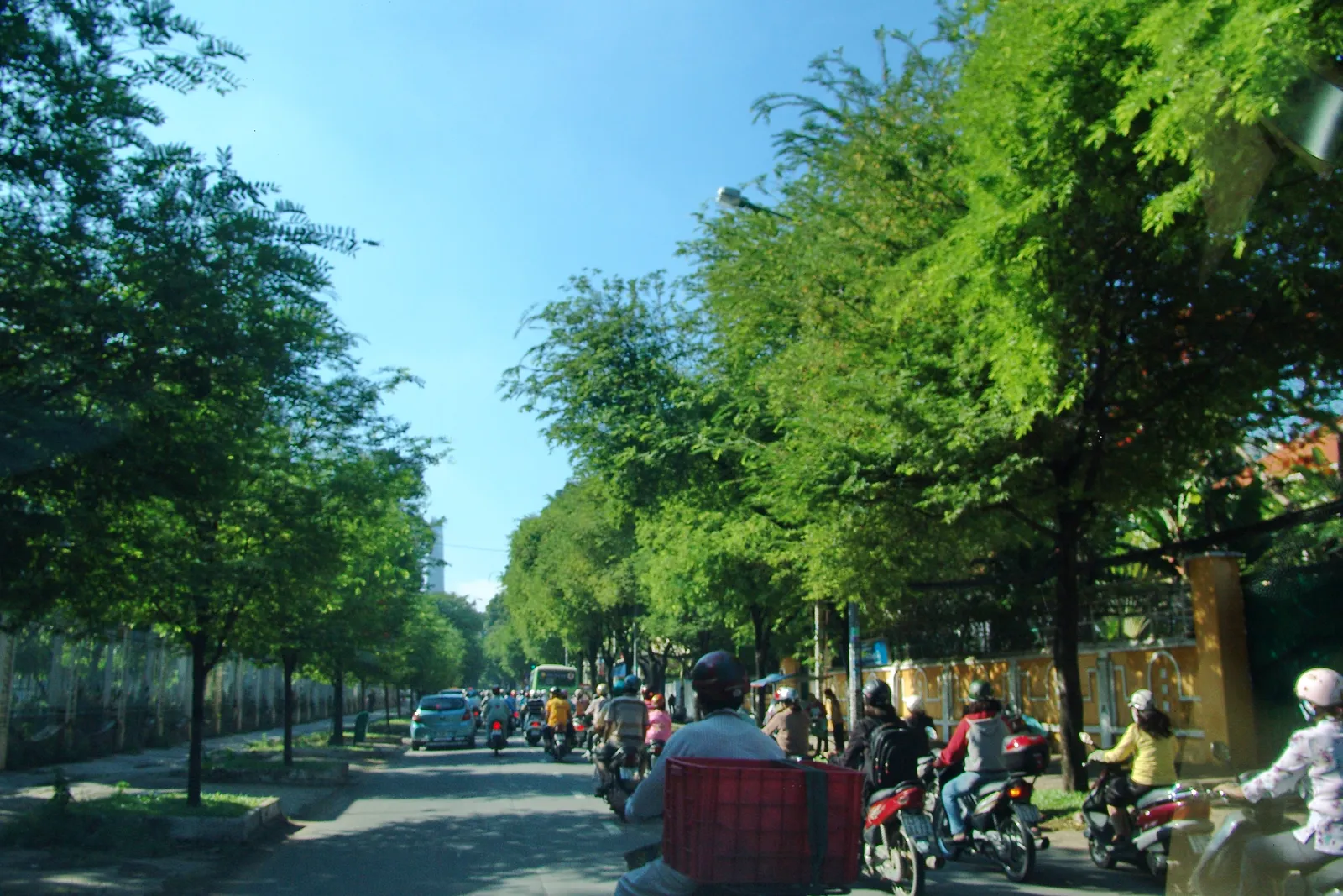 Tree-lined street with motorbikes and a shaded pavement under a blue sky