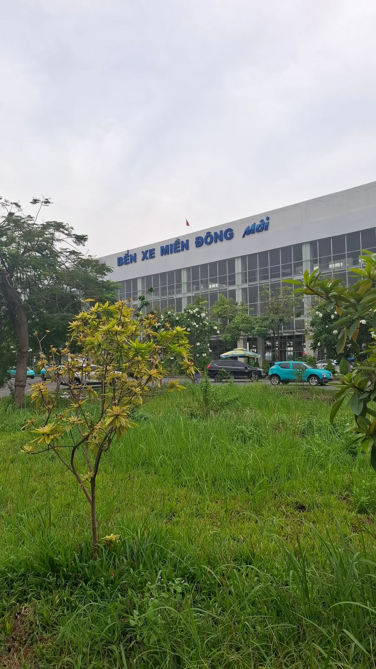 Glass station building with the Ben Xe Mien Dong Moi sign above green shrubs and a teal car