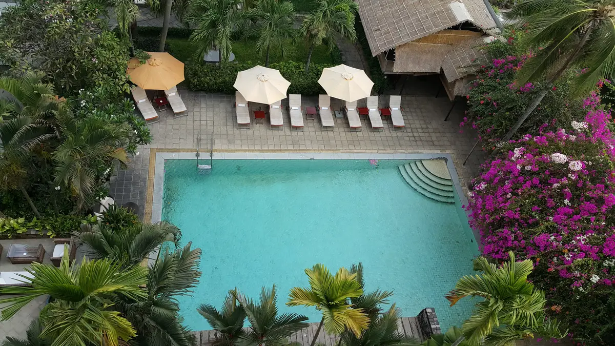 Swimming pool with white loungers and sun umbrellas surrounded by palms and pink flowers seen from above