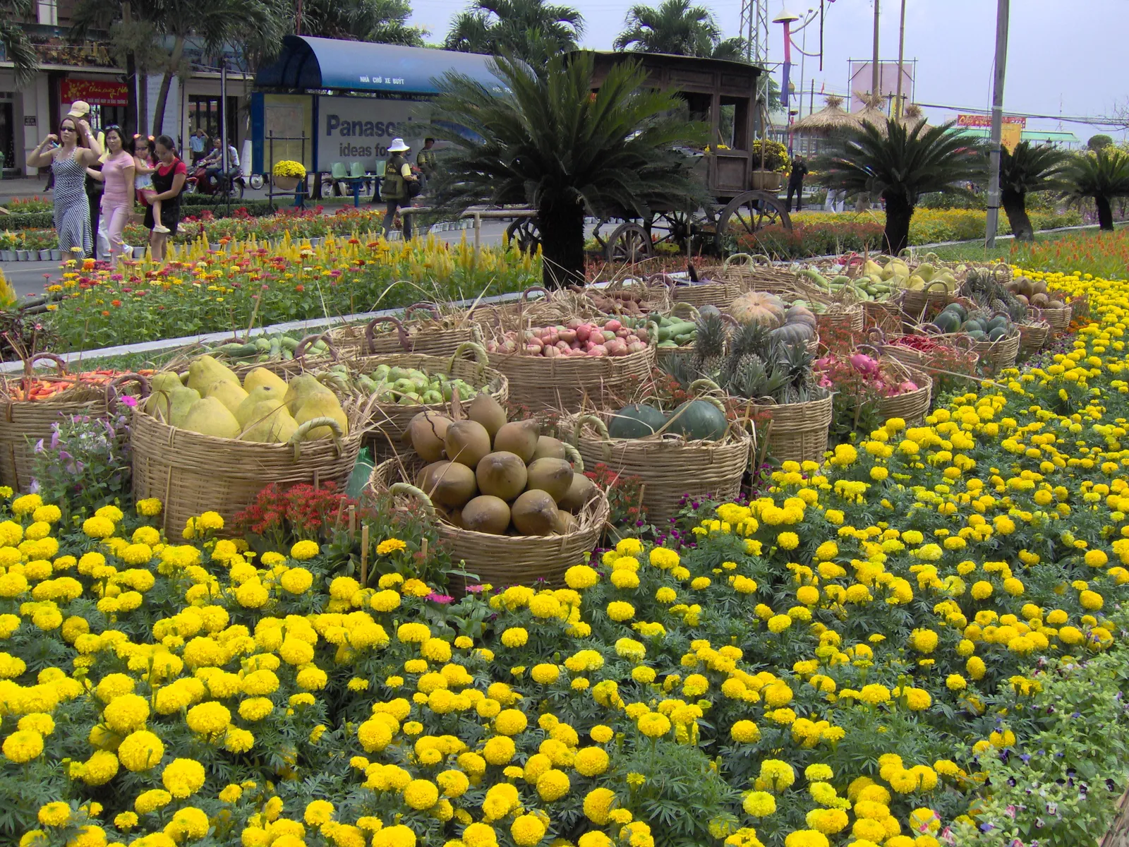 Flower bed of yellow marigolds with baskets of fruit in a city park