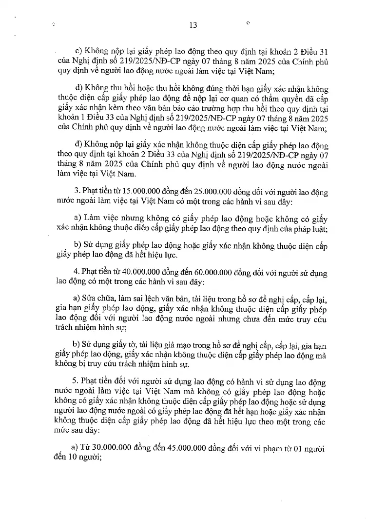 A printed page of the signed penalties decree with the fine for a foreign worker without a permit and the fines for employers